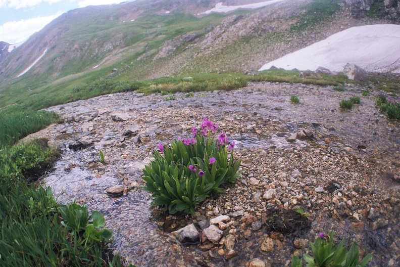 Continental Divide_ Parika Lake 18.jpg